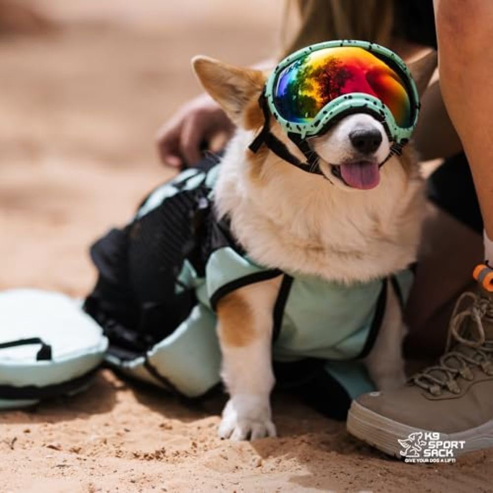 K9 Sport Sack Plus 2 - Small, Summer Mint - Ideal for Dogs 13-16” Long - Adjustable, Backpack-Style Carrier with Multi-Functional Storage Pack, Thick Shoulder Straps & Padded Back Panel