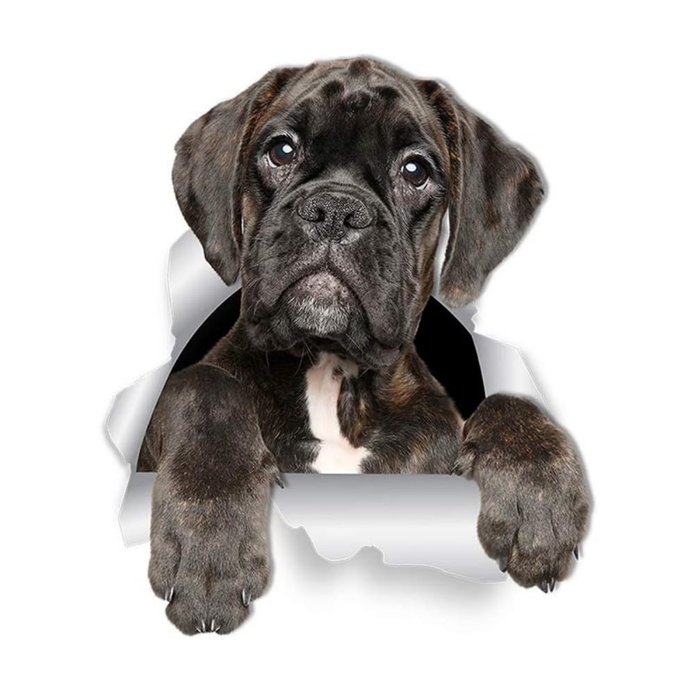 Boxer Hund Aufkleber, 3D Zerrissener Effekt, Wasserfest Reflektierend, Boxer Welpe Aufkleber für Auto, Laptop, Kühlschrank, Haus Dekoration (18cm/7.1 Inch)