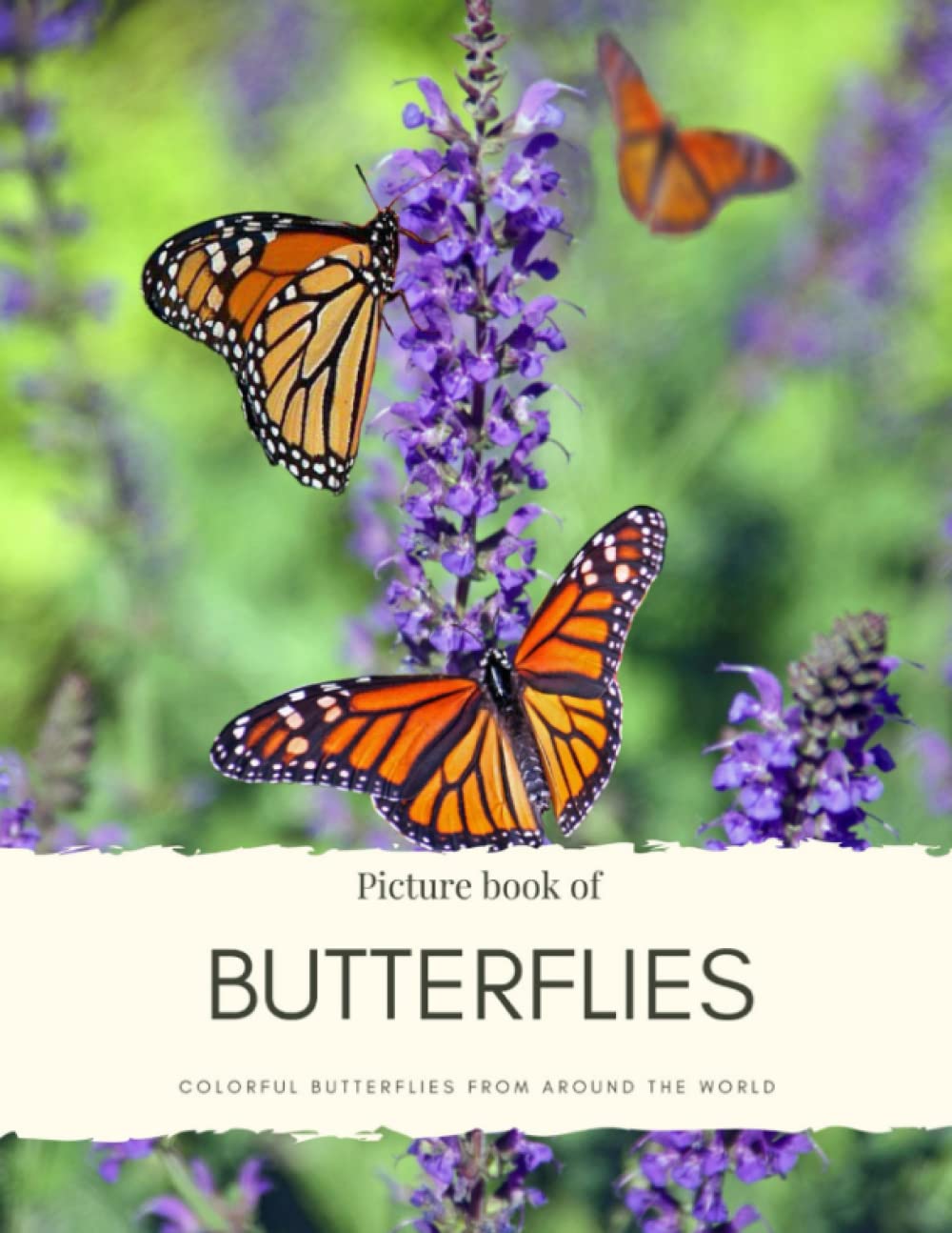 Picture Book of Butterflies: for Alzheimer’s and Seniors with Dementia- Colorful Photos with Large Print for Elderly People or to Help them Feel Calm (Nostalgia Coffee Table Books)