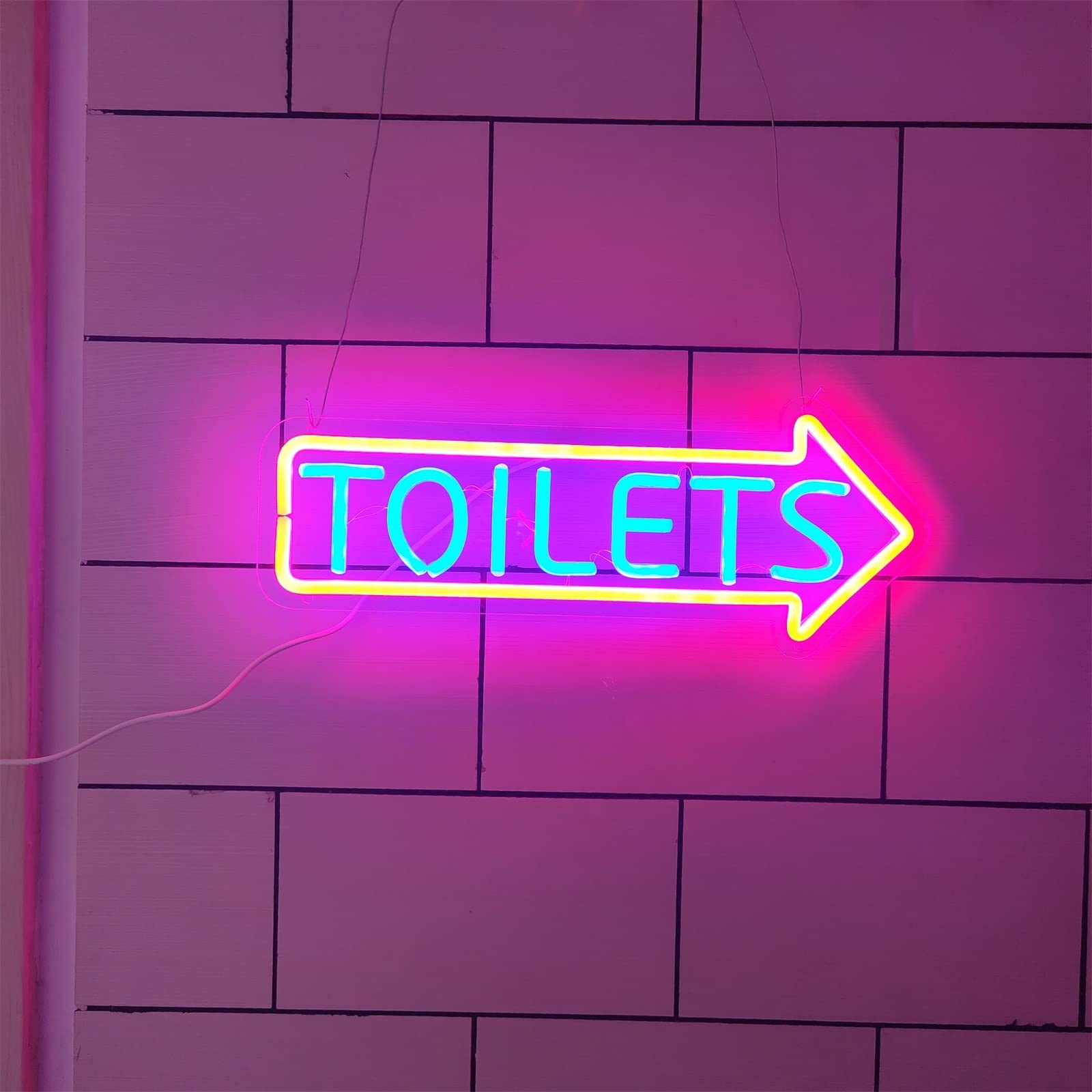 Insegna al Neon a LED con Freccia per WC, indicatore di Ingresso per WC WC Luci al Neon USB, luci notturne per insegne Luminose sospese a Parete,Right,40x15cm