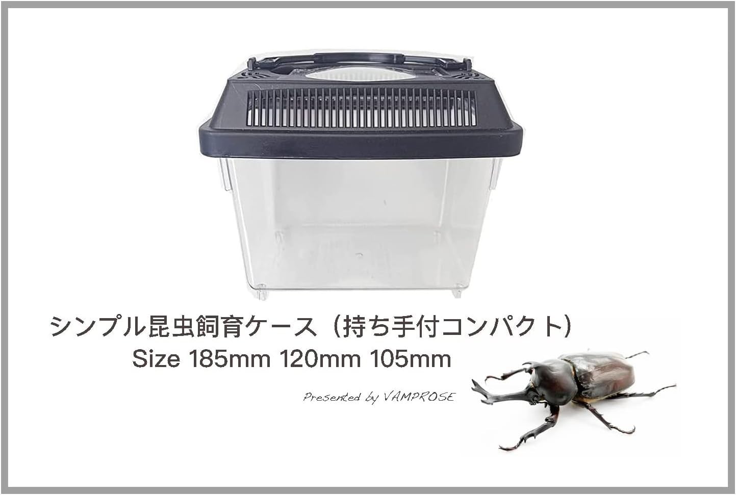クワガタ飼育セット　 Amazon | カブトムシ＆クワガタ 飼育セット （ 飼育ケース 昆虫マット