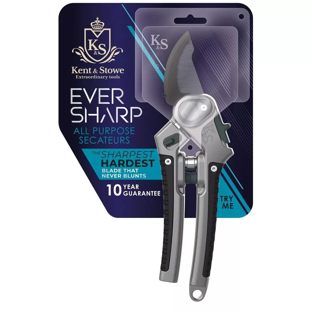 Kent and Stowe 70100536 Eversharp Bypass Secateurs, Multicolor, 25mm