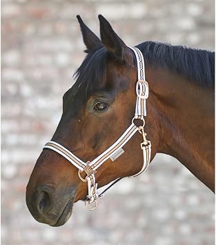 WALDHAUSEN Halter Shine
