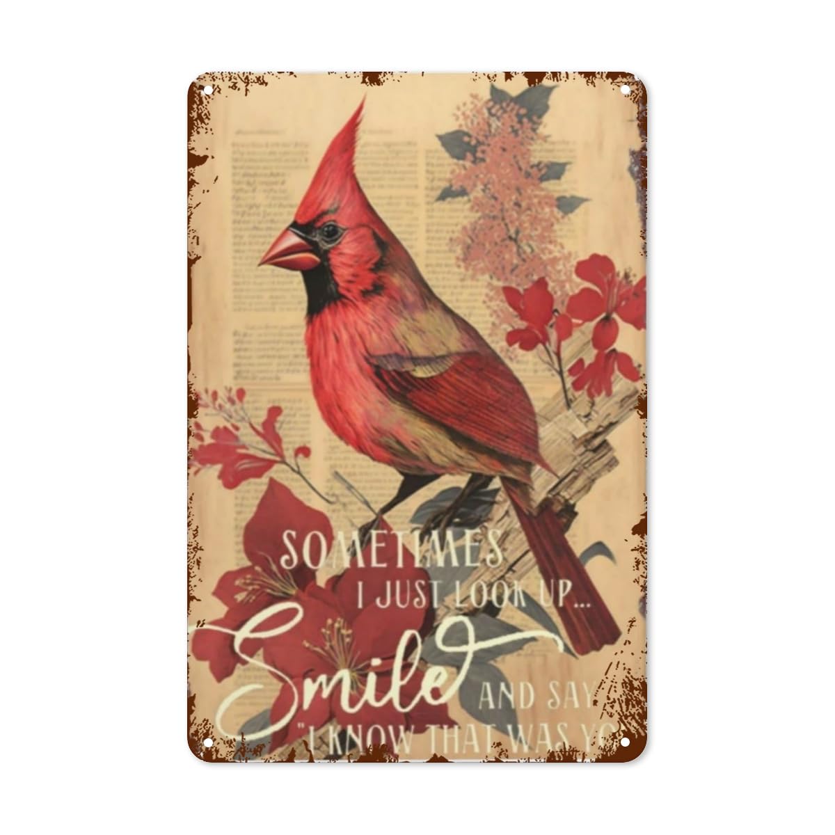 Lifewheel Vintage Retro Sign - Sometimes I Just Look Up, Smile And Say - Metal Wall Art For Cafes, Homes, And Offices - Boho Funny Poster Decor With Birds, Flowers And Christmas Theme - 8X12 Inches