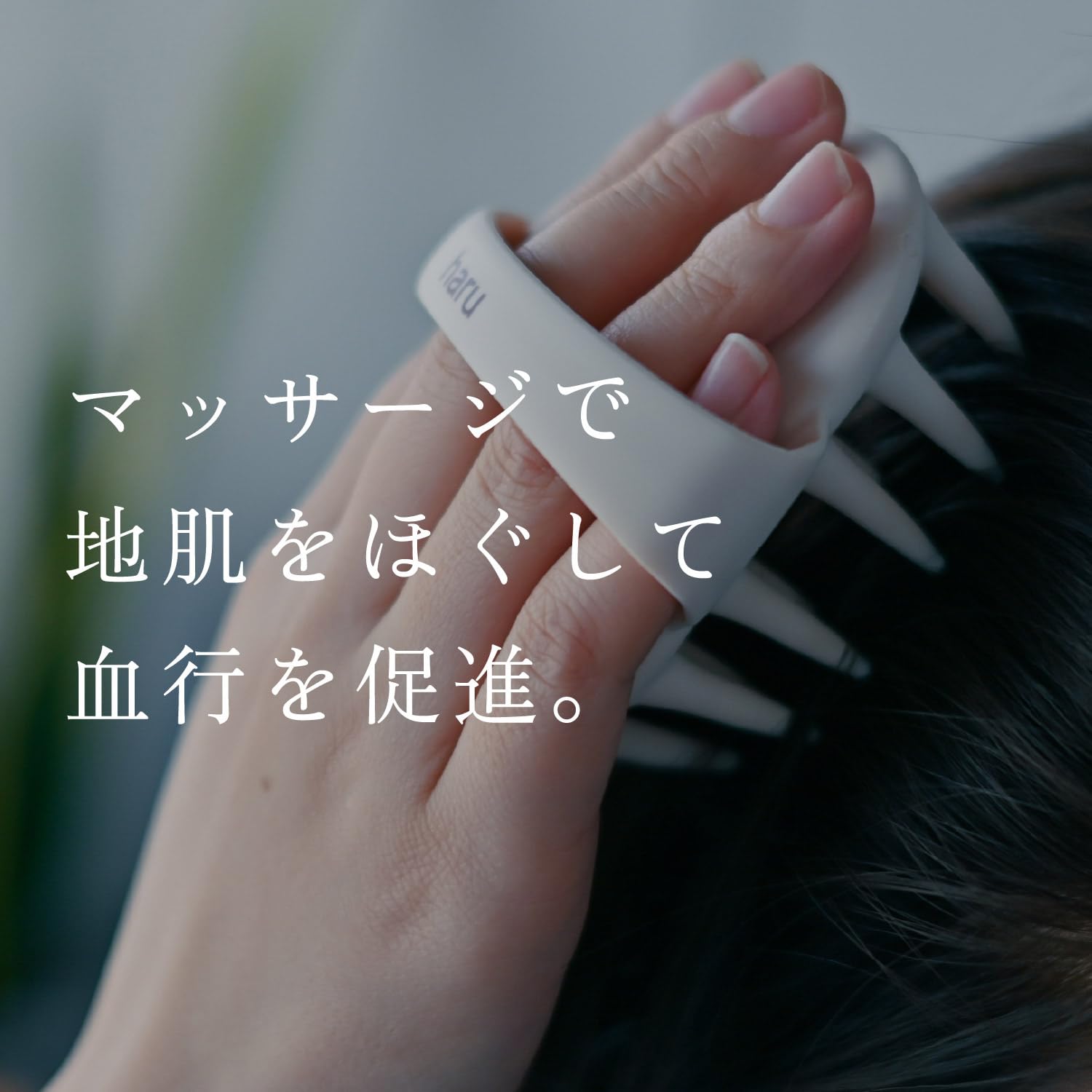 Amazon | haru(ハル) リフレッシュシャンプーブラシ 頭皮ケア 血行促進