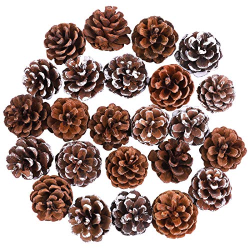 Cooraby 24 Pieces Mini Pine Cones Christmas Snow Pine Cones Natural Ornament 4 to 6cm Pine Cones Pendant for Fall and Christmas Party Decoration Home Decoration (White, Natural, 24)