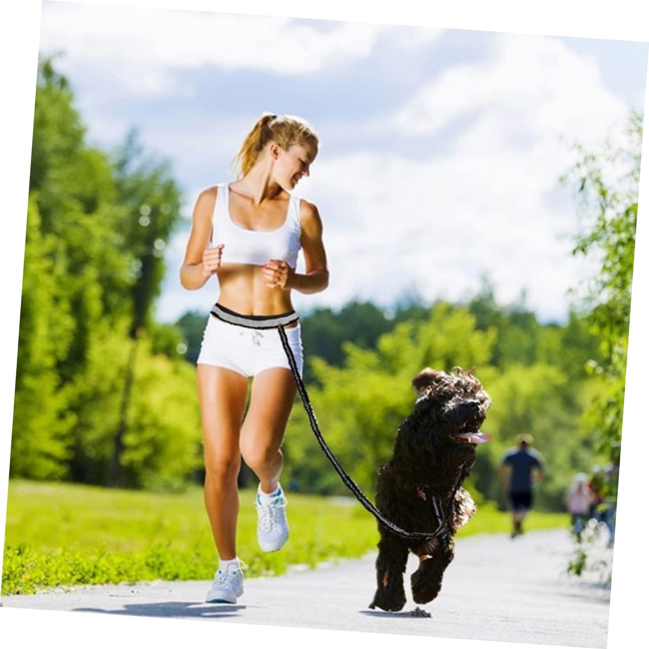 Hundeleine mit Metall Reflektierende 5 Stück-Pack aus Nylon für Hund