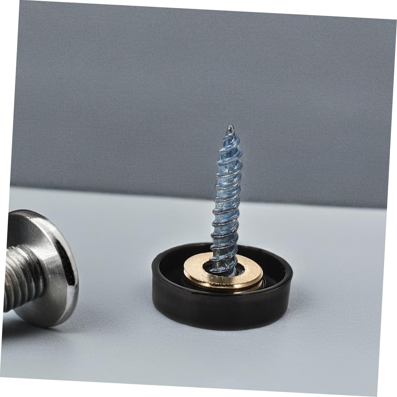 Stainless Steel Mirror Screws Decorative Caps 12 Pcs Black 16mm