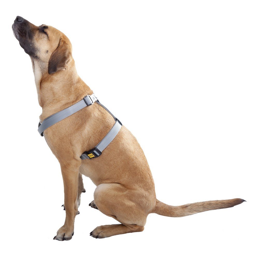 Dingo Grey Leash, Very Light, Anti-Slip Material for Easy Dog Stop Strong and Durable 14705, 2,5 x 120 cm - Image 2