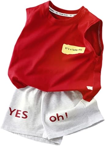FTSUCQ Boys Shorts Sets Cotton 2 Piecs Playwear Outfits Infant to Big Kid
