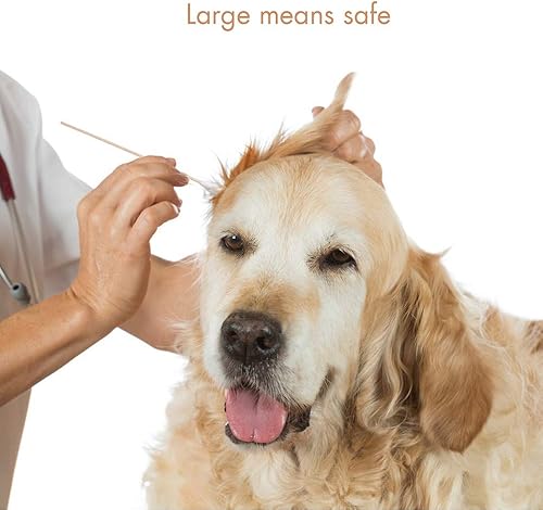 Miniatura 6 de GLADOG Capullos de algodón profesionales grandes de 6 pulgadas para perros, especialmente diseñados con mango de madera, grandes medios seguros