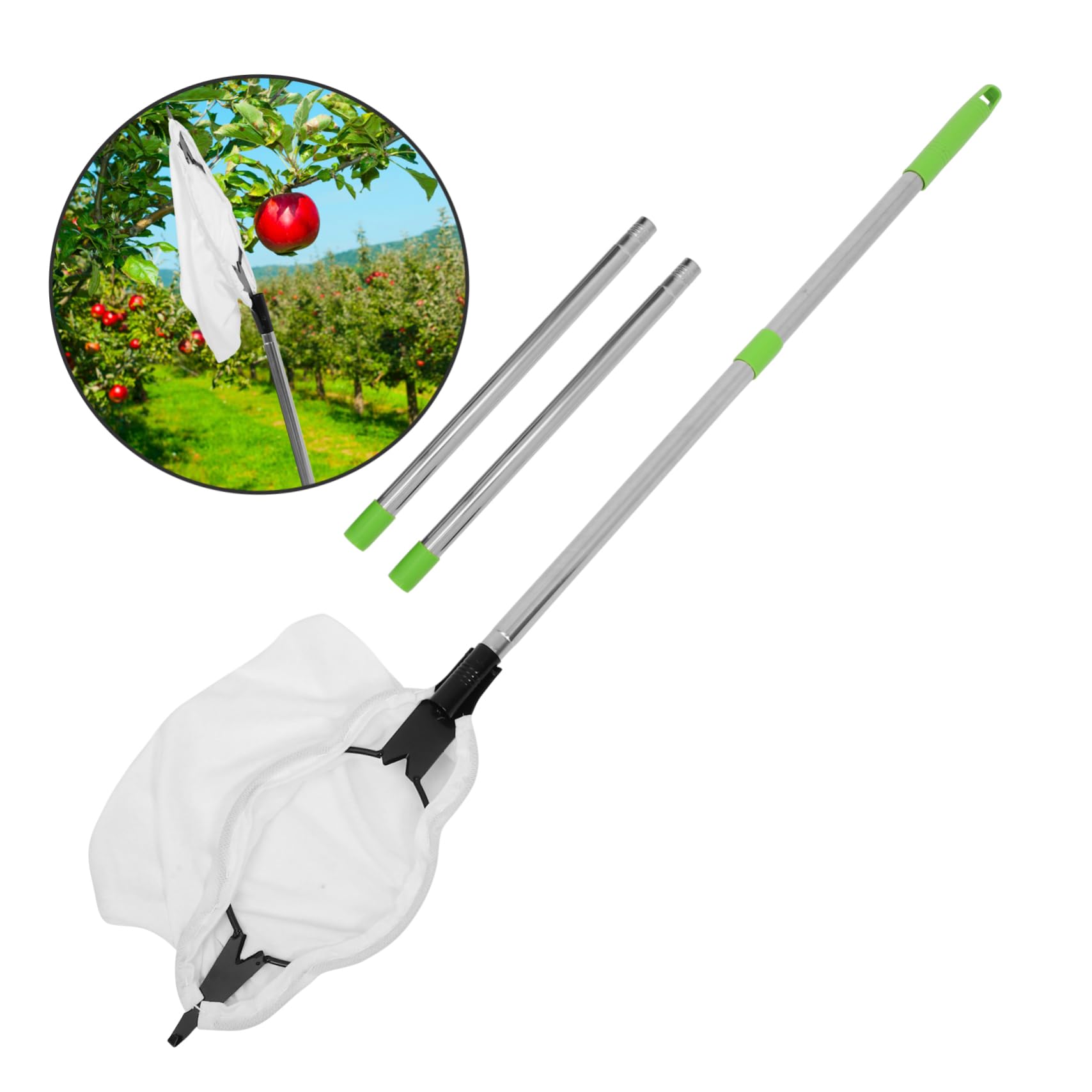 Recolector de Naranjas Ajustable de Acero Inoxidable Cabezal de Garra | Herramienta para Frutas Palo Extensible, Decoracion Otono, Uso Versátil en Huerto