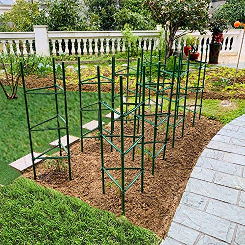 Raikedr Tomato Cage – Plant Stakes And Support - 3 Pack, Plant Support Cages, Large Tomato Cages For Garden, Plant Support For Vertical Climbing Plants, Vegetables, Flowers, Fruits, Vine (2.8, 3) #TOP3