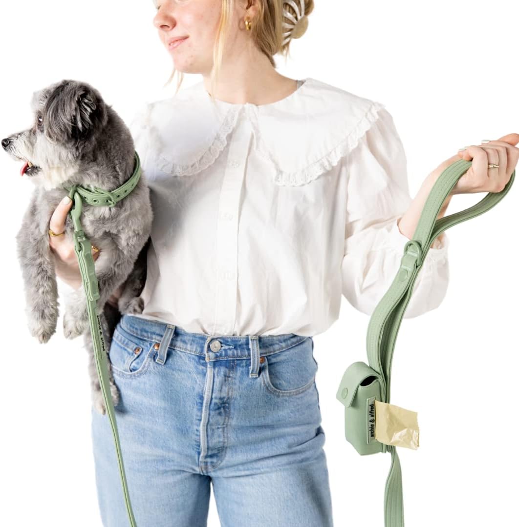 Heavy Duty Dog Leash with Attached Poop Bag Holder - 2 Control Loops Perfect for Small, Medium or Large Dogs | archie & alfred