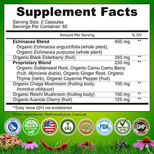 Echinacea Goldenseal Capsules - 10 In 1 Immune Support Supplement - 1455Mg - Vegan Echinacea Capsules Supplement Made With Organic Whole Foods - Herbal Immune System Support - 2 Month Supply #TOP5