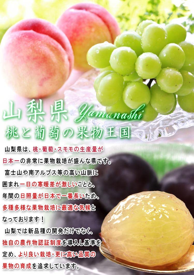 Amazon.co.jp: 巨峰 大粒ぶどう 約1.2kg 2～3房入り 山梨県・長野県産