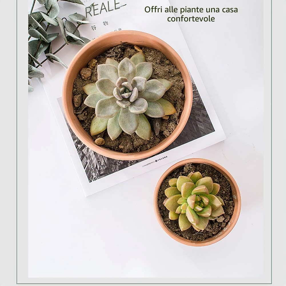 Briful 3 vasi in terracotta con foro di scarico per piante grasse, ideali per piante, fai da te, regalo di nozze