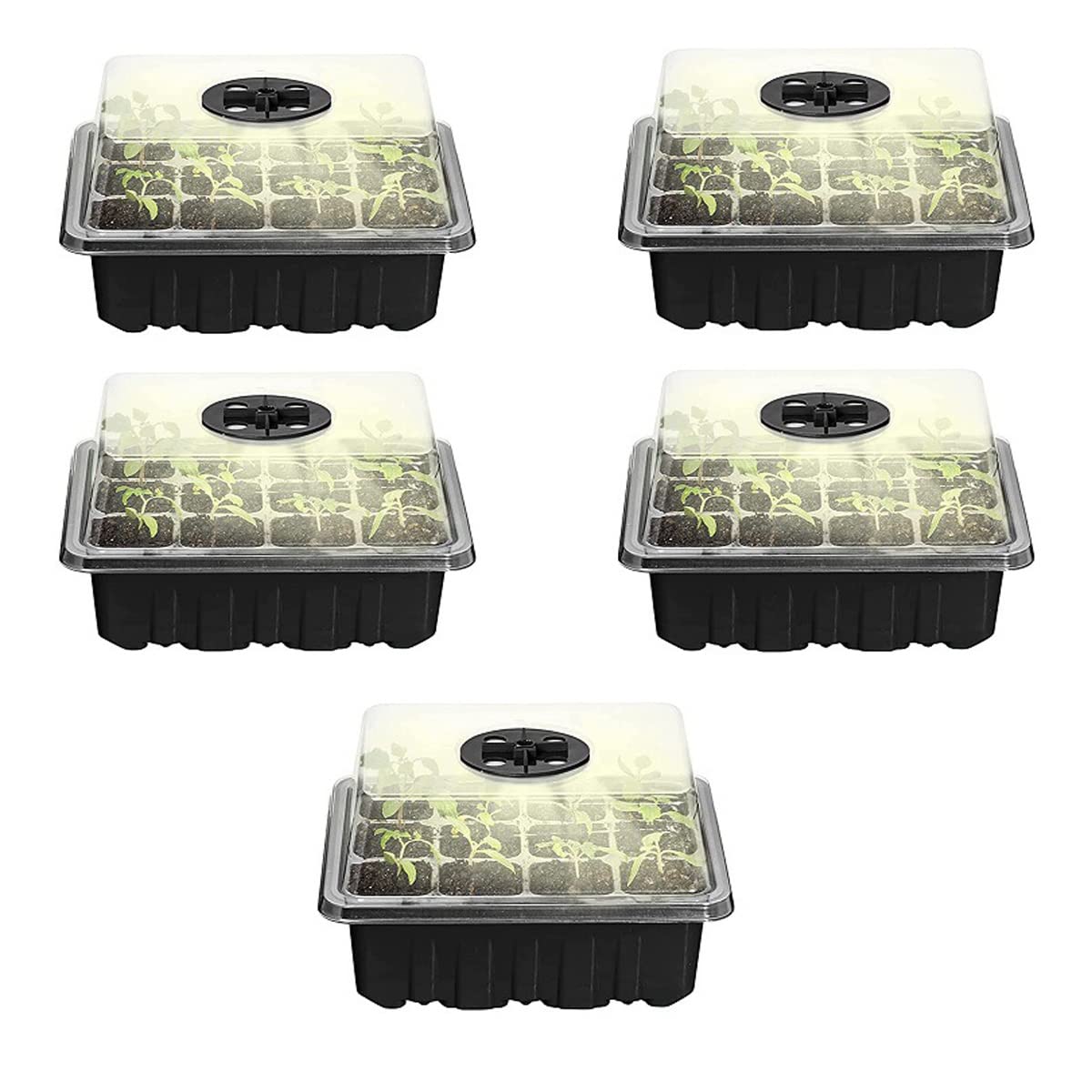 Mini Serra per Piantine Semina, Piantine Vassoio di Germinazione con Coperchio e Base, Vassoi per Seminare con Luci a LED, umidità Regolabile Vassoi per La Coltivazione dei Semi(Color:Nero)