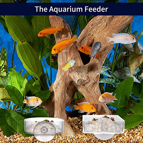 cobee Aquarium Futternapf, 2 Stück Fisch Garnelen Futternapf Acryl Klar Garnelen Futternapf Tank Futternäpfe mit Saugnapf Futter Wasser Schüssel für Reptilien Garnelen Tropische Fische