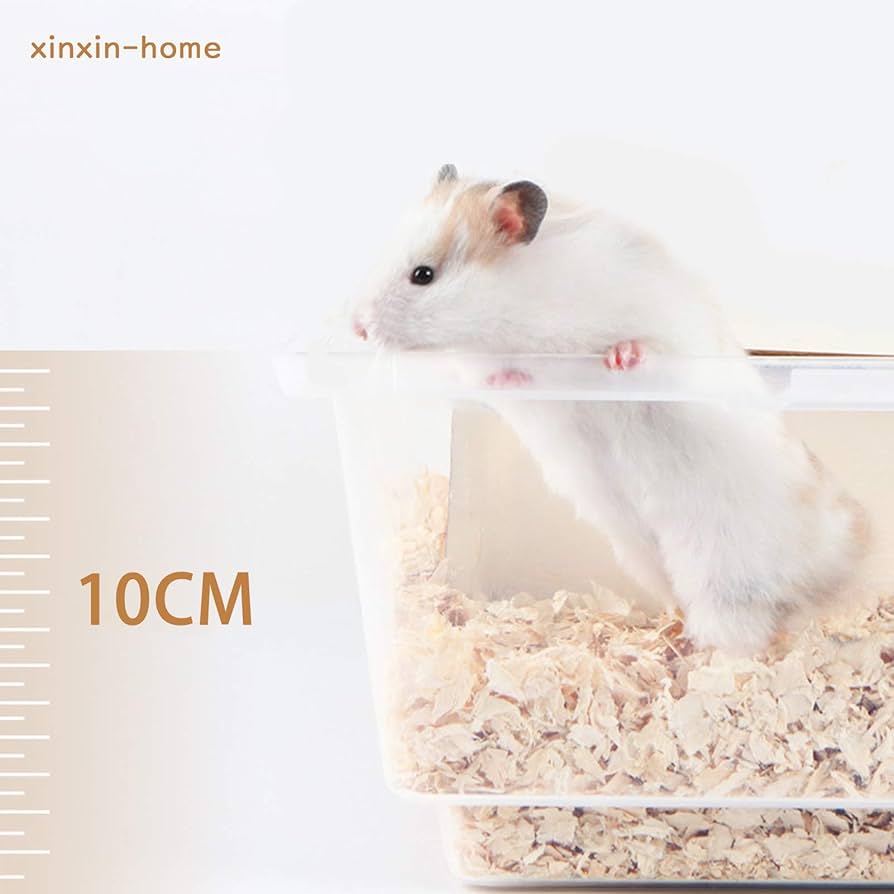 アクリルケージ 小動物用　ケージセット ハムスターハウス　クリア Amazon.co.jp: ハムスターケージ 透明 ハムスターハウス 可愛い