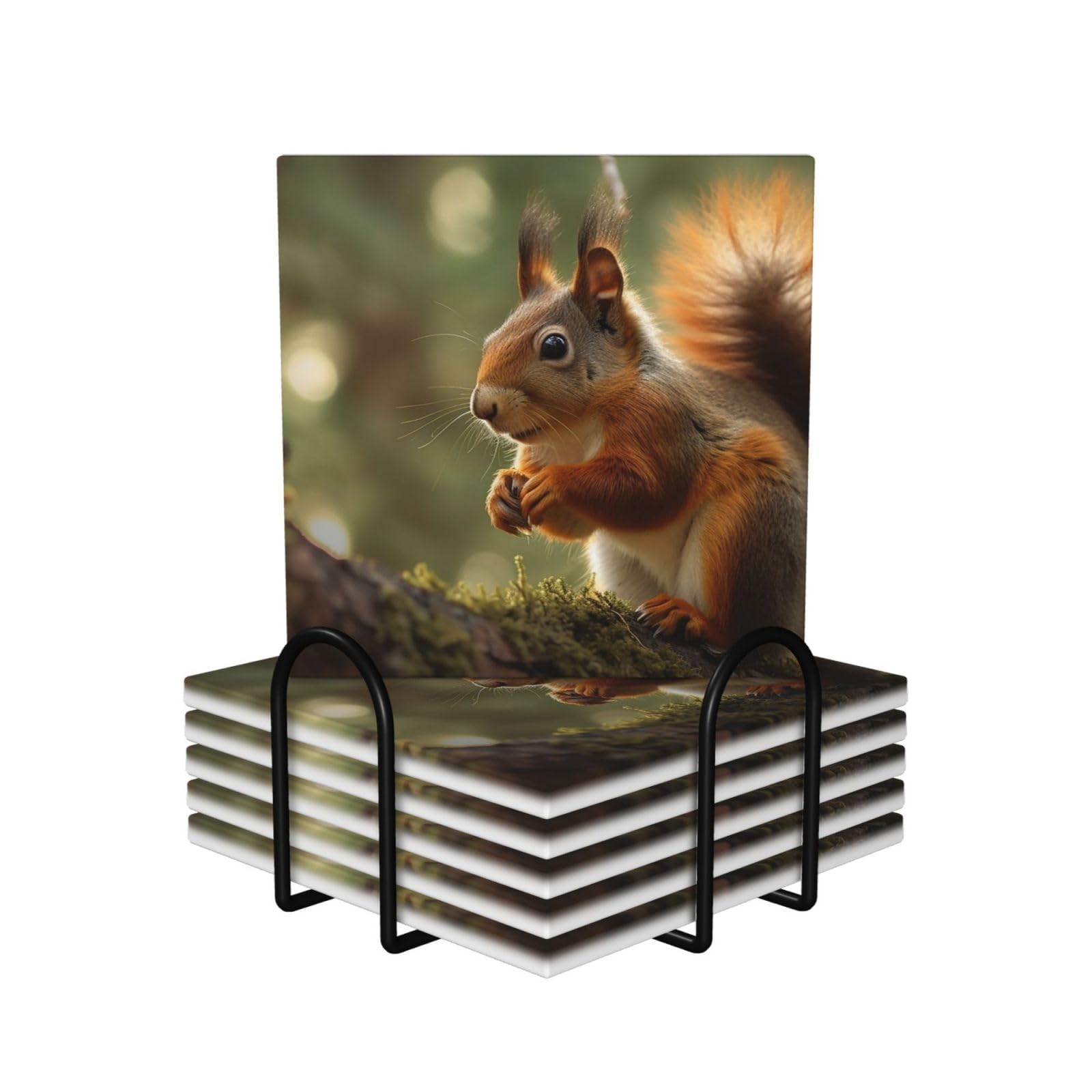 6Pcs Ceramics Coaster for Drinks, Wildlife Forest Squirrel Cup Coasters with Holder, Aesthetic Drink Coasters for Coffee Table, Absorbent Round Coaster for Tabletop Protection 4" Cup Mat Pad
