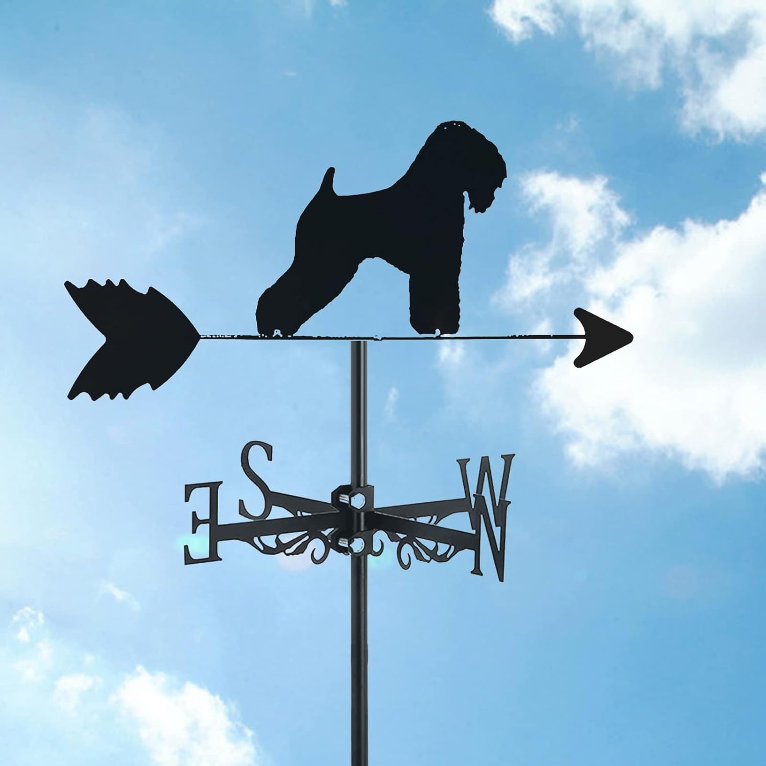 DVD 王妃の館-Chateau de la Reine-/VIVA! FESTA!