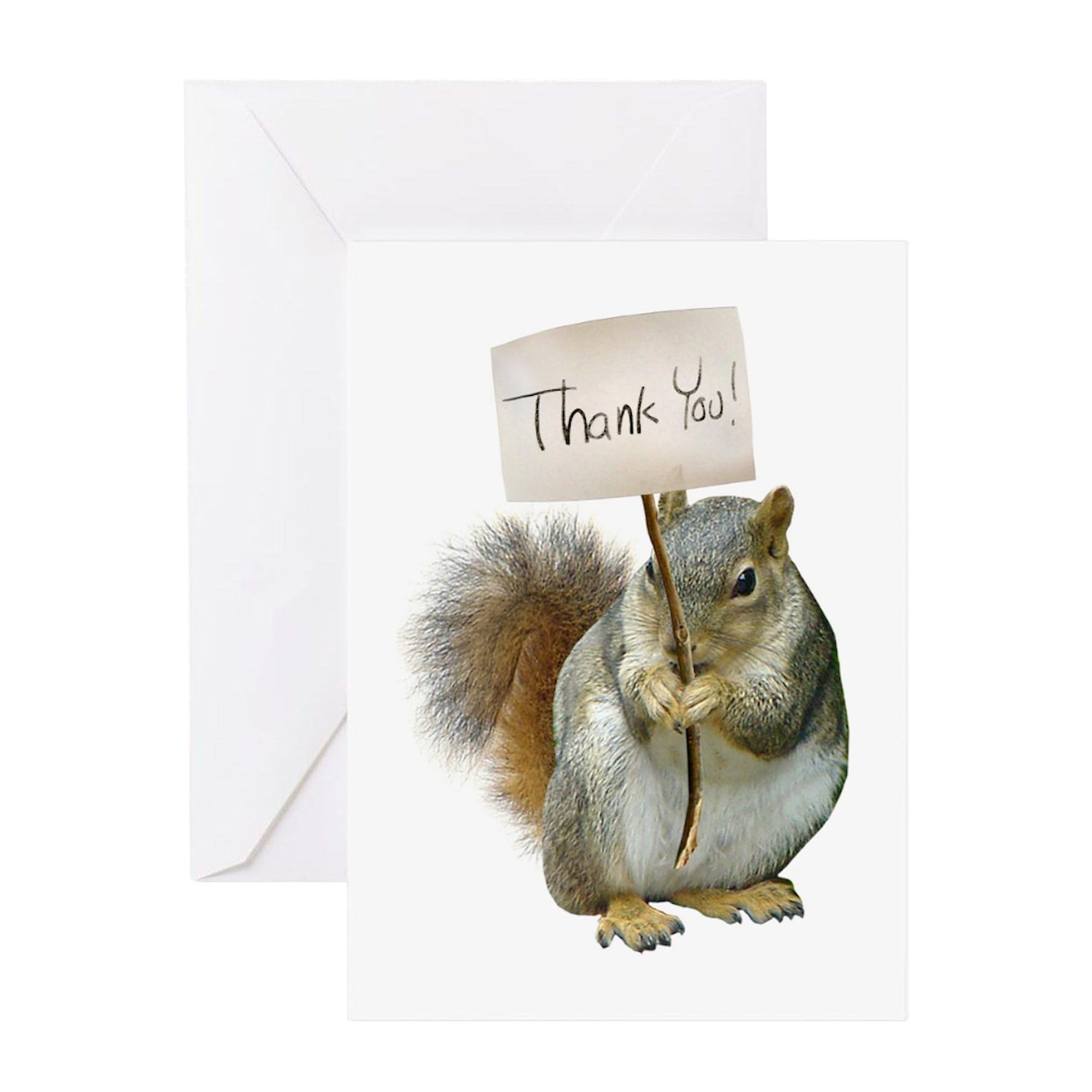 Amazon.com : CafePress Squirrel Thank You Greeting Cards Folded Greeting Card Glossy : Office Products amazon-com-cafepress-squirrel-thank-you-greeting-cards-folded-greeting-card-glossy-office-products