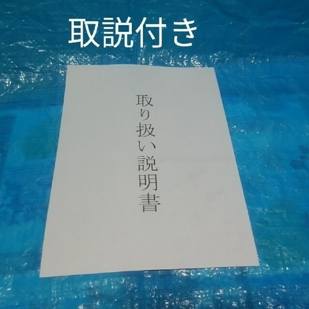 Amazon.co.jp: 日野 プロフィア テールランプ用 シーケンシャル 
