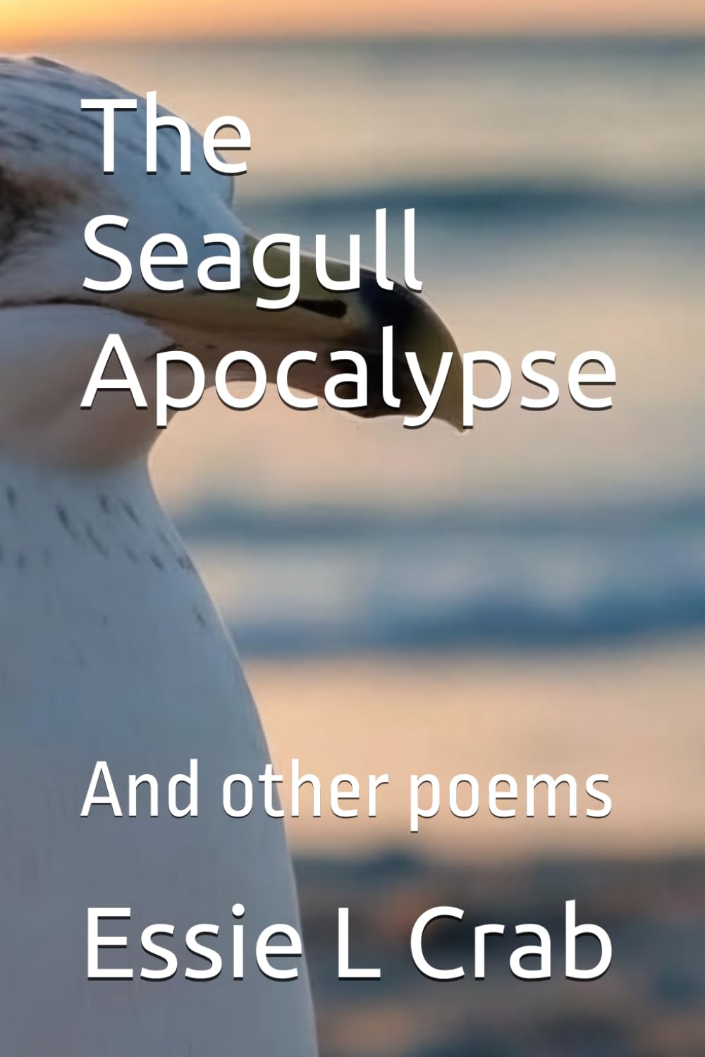The Seagull Apocalypse: And other poems