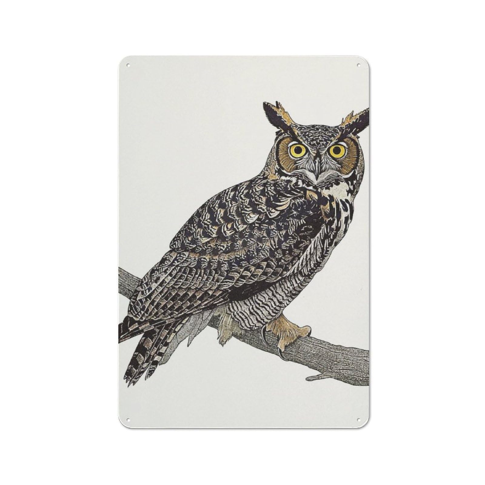 Junmoney Owl Portrait Tin Wall Plaque 30X20cm With For Living Room Wall, Gift For Feature Wall Decorators During The Christmas Season