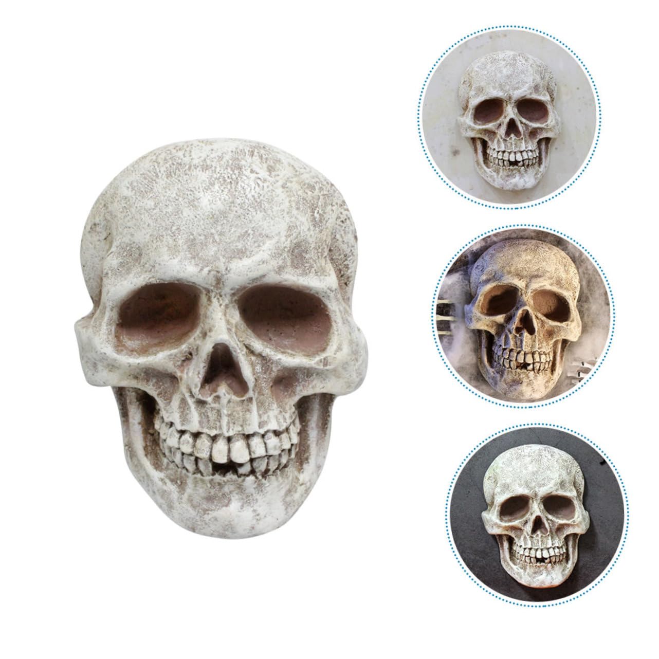 3 Piezas de Calaveras de Esqueleto para Fiestas de Halloween, Accesorios para Casas embrujadas, decoración de Casas embrujadas, Modelo de Esqueleto, Adornos de Cabezas de Calavera
