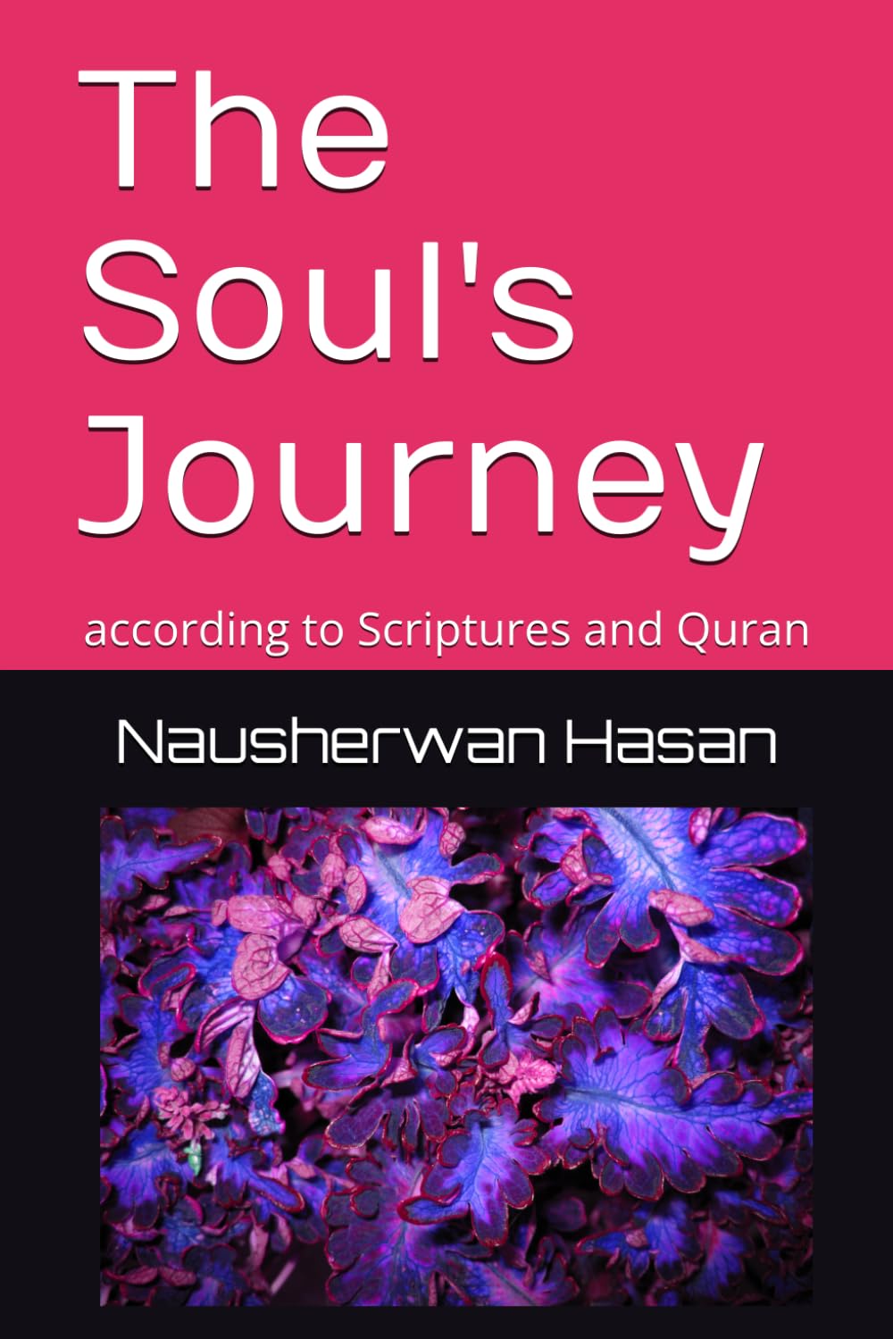 The Soul's Journey: according to Scriptures and Quran
