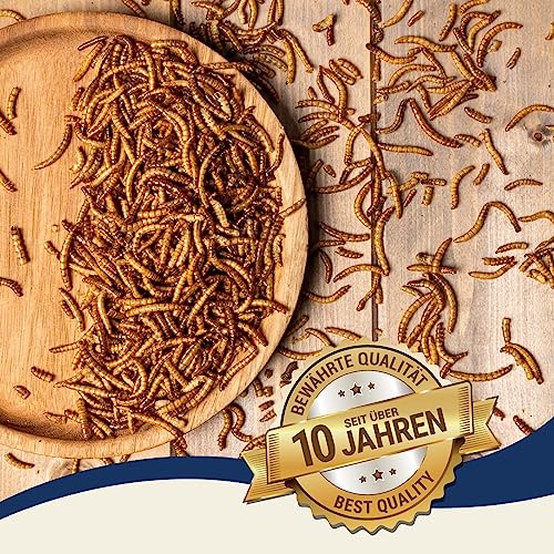 Lyra Pet® | 5 kg Mehlwürmer getrocknet | Proteinreiches Vogelfutter | Für Wildvögel, Nager, Reptilien & Fische | Nahrhaftes Futter | Energiespender für Insektenfresser | Vitamine & Mineralstoffe