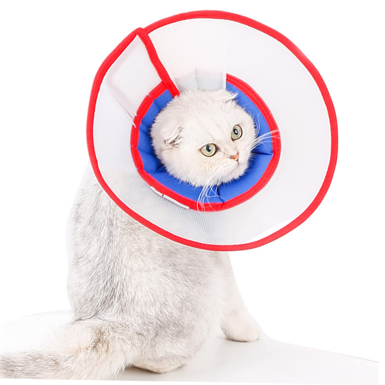 minkissy 2pezzi Collare di Regolabile per Cani Elisabettiano Trasparente Comfort Brevettato Facile da Indossare Protezione Post-operatoria per Animali Domestici