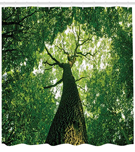 ABAKUHAUS Forest Shower Curtain, Tall Old Tree View Sun Rays Top Branches Leaves Nature Picture - Image 2