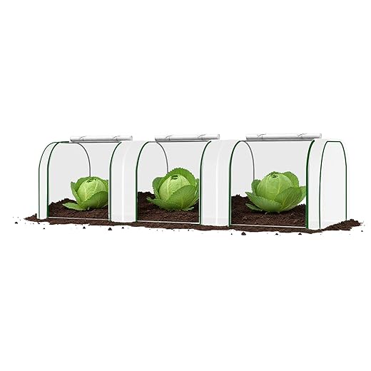Mini Greenhouse, PE Cover with Roll-up Zipper Door, for Indoor Outdoor or Garden Plant Growing, White