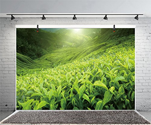Leyiyi 5x3ft Photography Background Tea Plantation Backdrop Birthday Malaysia Green Leaves Fresh Plants Tea Culture Chinese Literature Health Drink Trees Baby Shower Photo Portrait Vinyl Studio Prop
