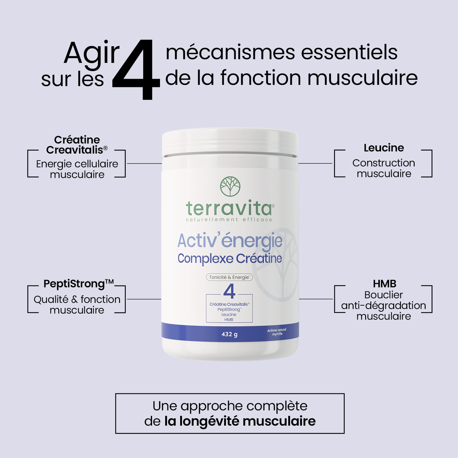 ACTIV’ENERGIE Complexe Créatine | 4 Actifs Brevetés | Force - Tonicité - Énergie | Dosages Cliniques | Efficacité Prouvée + 19,7% de Force Musculaire en 8 semaines | Fabriqué en France | Terravita