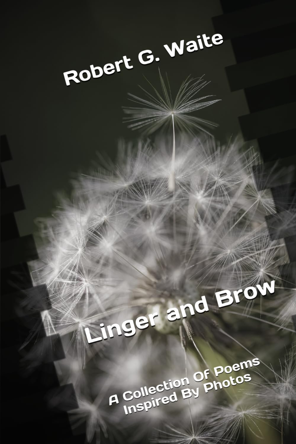 Linger and Brow: A Collection Of Poems Inspired By Photos