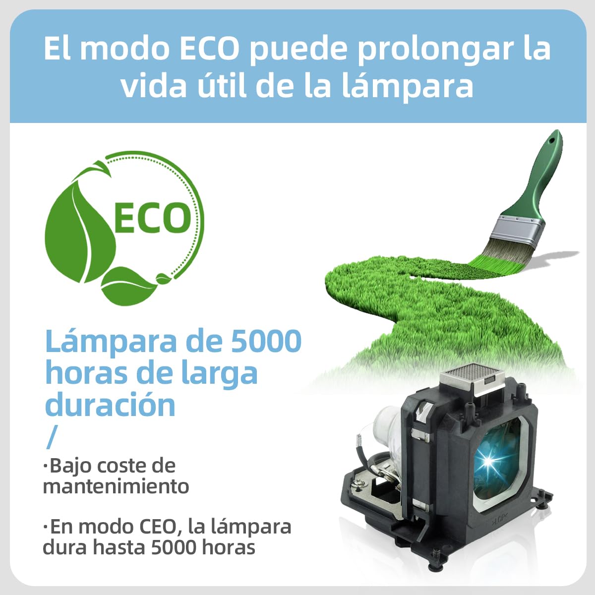 POA-LMP114 Lampada proiettore di ricambio con alloggiamento per Sanyo PLV-1080HD PLV-Z2000 PLV-Z3000 PLV-Z4000 PLV-Z700 PLV-Z800 Videoproiettore