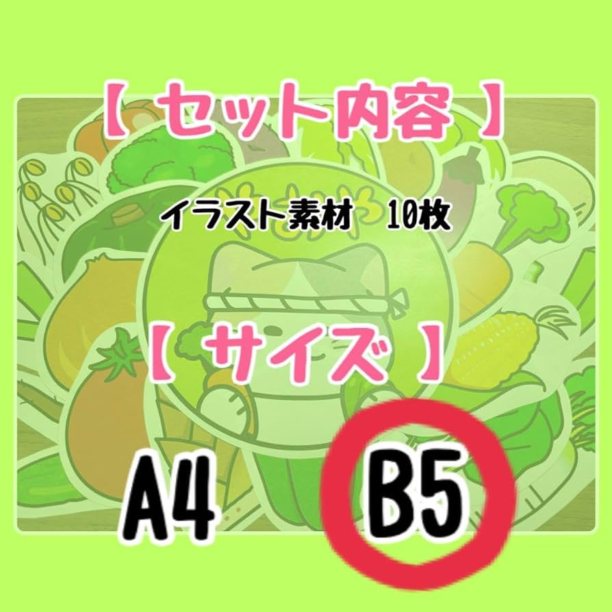 専用ページ  やおやおぱー様 Amazon.co.jp: B5 イラスト素材 『やおやのおみせ』 素材のみ 保育教材