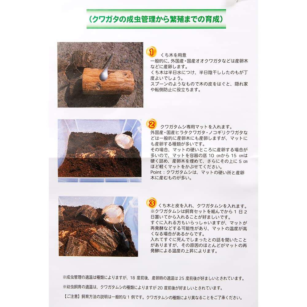 Amazon | クワガタ産卵飼育 5点セット | MIKU | テラリウム