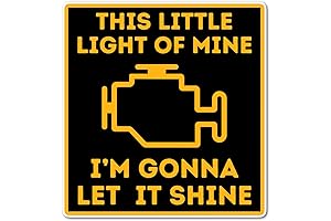 3" Check Engine This Little Light is Mine Sticker