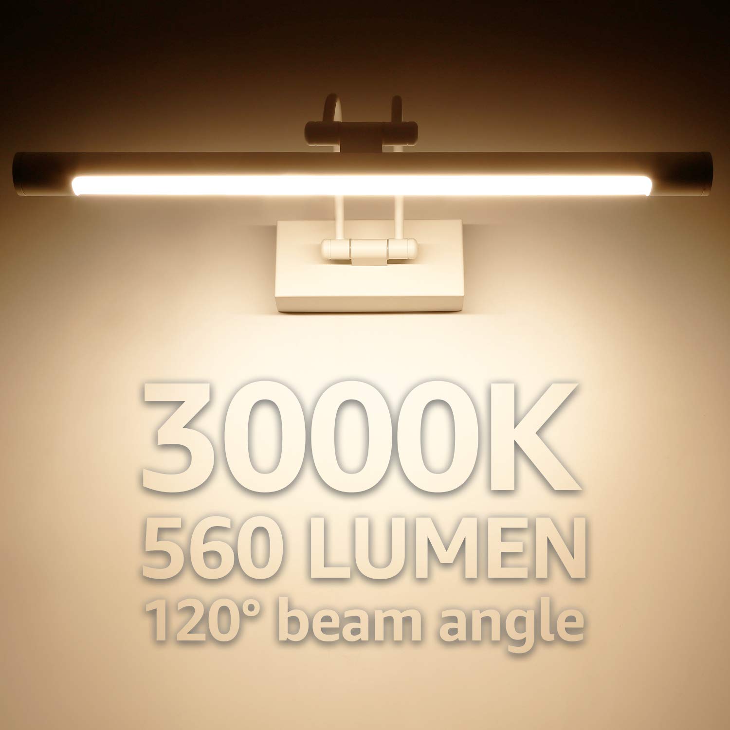 LEONLITE Picture Light