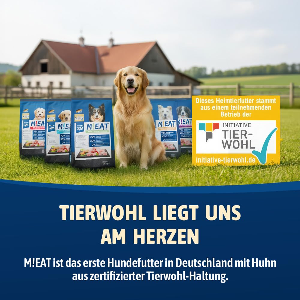 NutriQM® Senior Hundefutter Trocken | 12 kg | Getreidefreies Trockenfutter mit Huhn & Kartoffel | Weniger Fett & Protein für Hunde ab 7 Jahren | Ohne Zucker & Konservierungsstoffe | Made in Germany