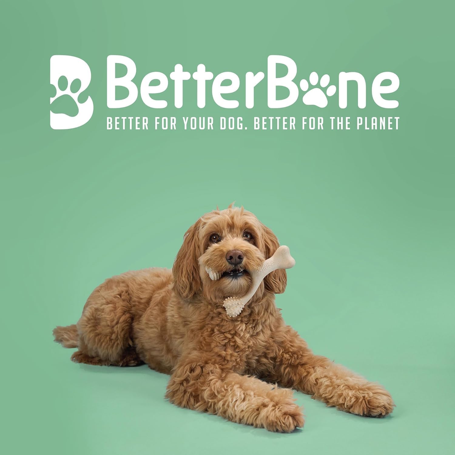 BetterBone - Giocattolo per cani da masticare – Small Medium Beef – Osso da masticare per cani senza nylon e OGM a base di cellulosa – Giocattolo da masticare medio con sapore di manzo – Legno da