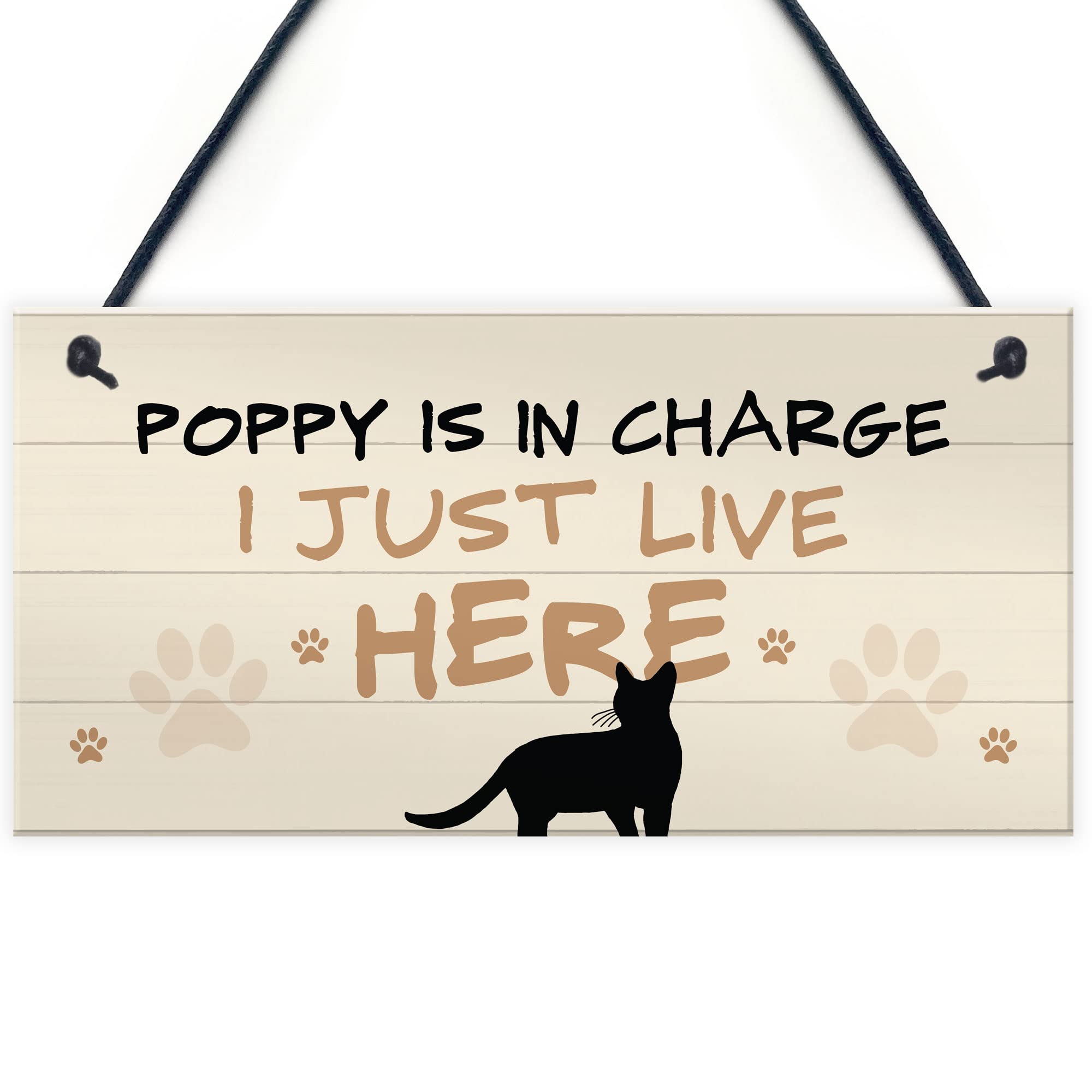 RED OCEAN Cat In Charge Sign Funny Cat Git Personalised Hanging Door Sign Cat Lover Gift