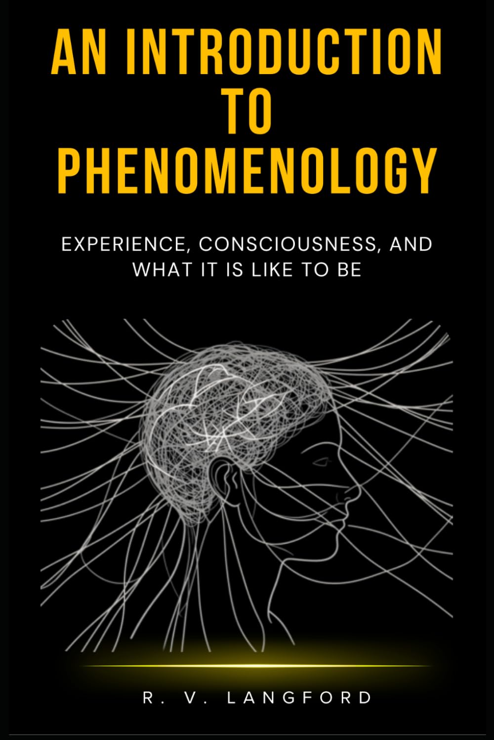 An Introduction to Phenomenology: Experience, Consciousness, and What It Is Like to Be