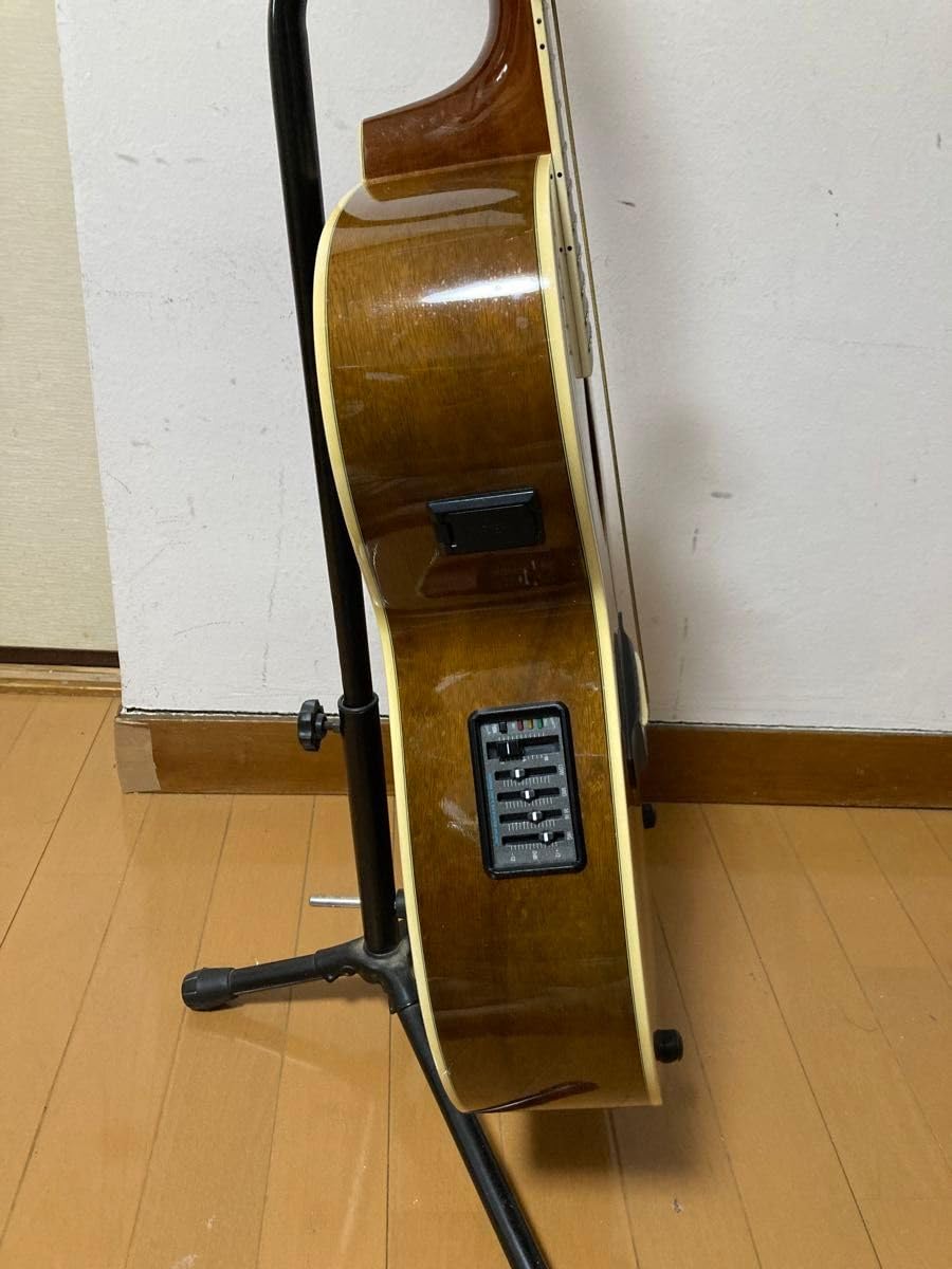 モーリス MORRIS Morris エレアコギター : アコギ エレアコ NAT