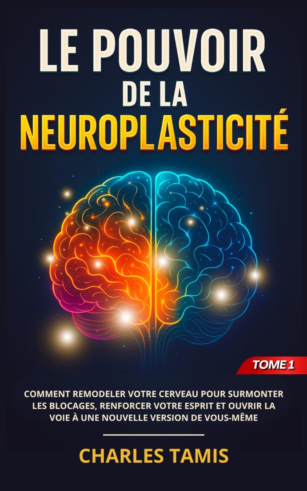 DMT la molécule de l'esprit livre science conscience métaphysique
